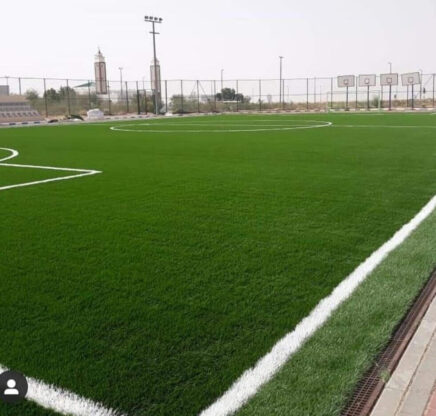 Artificial Grass Work